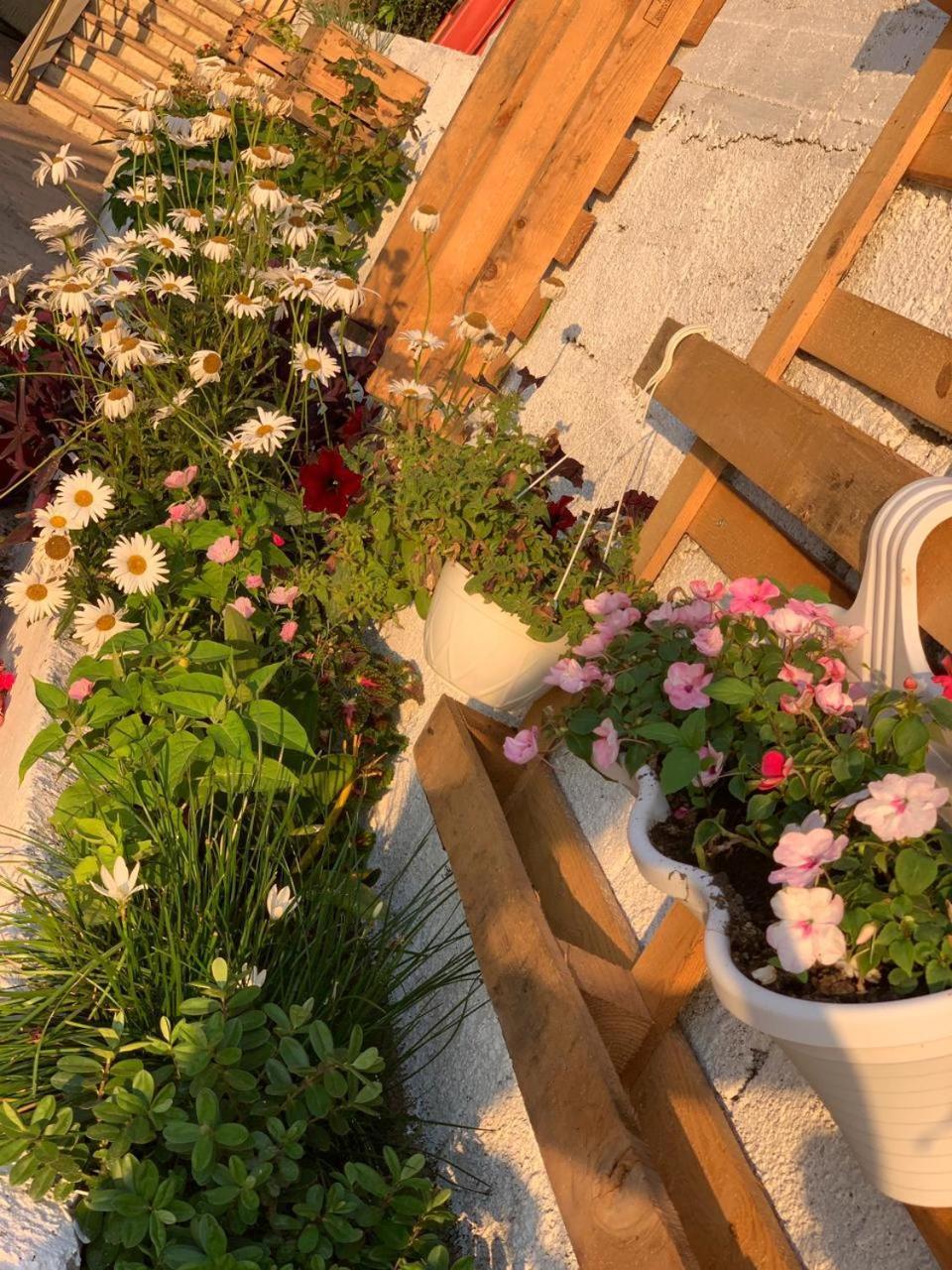 Kenza Apartments Саранда Номер фото